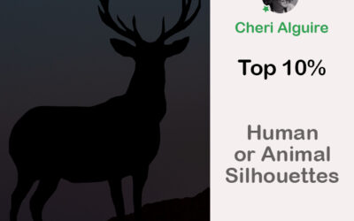 PhotoCrowd.com: Ranked Top 10% in ‘Human or Animal Silhouettes’ Contest