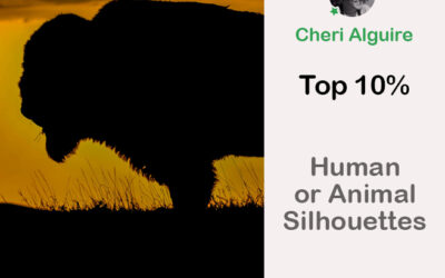 PhotoCrowd.com: Ranked Top 10% in ‘Human or Animal Silhouettes’ Contest