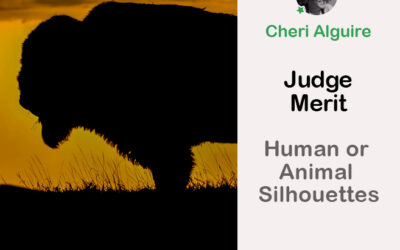PhotoCrowd.com: Merited by the Judge in ‘Human or Animal Silhouettes’ Contest