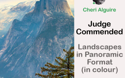 PhotoCrowd.com: Commended by the Judge in ‘Landscapes in Panoramic Format ’ Contest