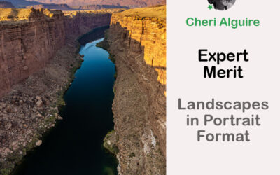 PhotoCrowd.com: Merited by the Expert in ‘Landscapes in Portrait Format’ Contest