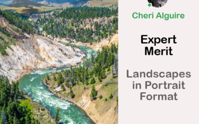PhotoCrowd.com: Merited by the Expert in ‘Landscapes in Portrait Format’ Contest