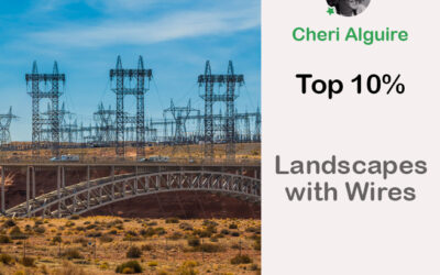 PhotoCrowd.com: Ranked Top 10% in ‘Landscapes with Wires’ Contest