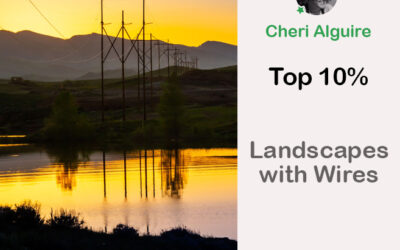 PhotoCrowd.com: Ranked Top 10% in ‘Landscapes with Wires’ Contest