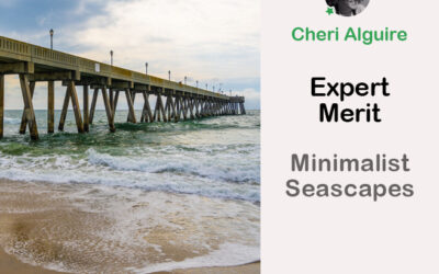 PhotoCrowd.com: Merited by the Expert in ‘Minimalist Seascapes’ Contest