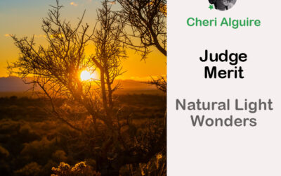 PhotoCrowd.com: Merited by the Judge in ‘Natural Light Wonders’ Contest