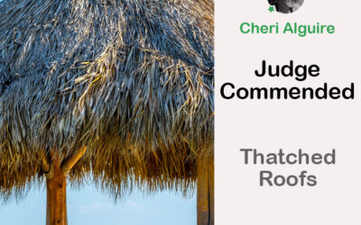 PhotoCrowd.com: Commended by the Judge in ‘Thatched Roofs ’ Contest