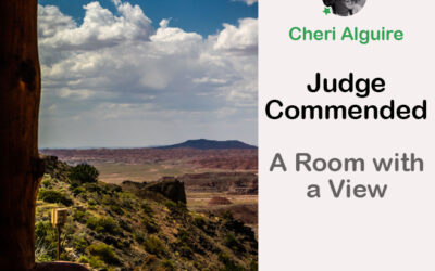 PhotoCrowd.com: Commended by the Judge in ‘A Room with a View’ Contest