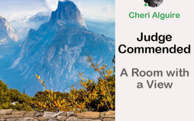 PhotoCrowd.com: Commended by the Judge in ‘A Room with a View’ Contest