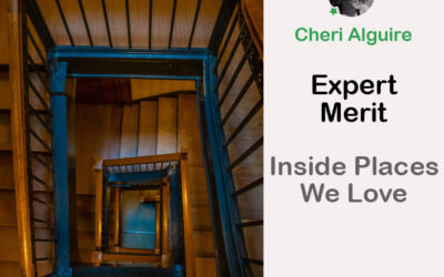 PhotoCrowd.com: Merited by the Expert in ‘Inside Places We Love’ Contest