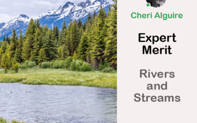 PhotoCrowd.com: Merited by the Expert in ‘Rivers and Streams’ Contest