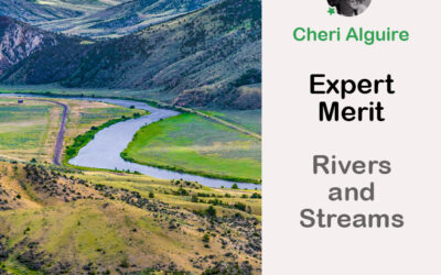PhotoCrowd.com: Merited by the Expert in ‘Rivers and Streams’ Contest
