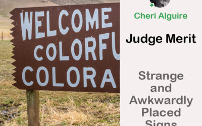 PhotoCrowd.com: Merited by the Judge in ‘Strange and Awkwardly Placed Signs and Notices’ Contest