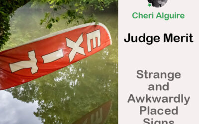 PhotoCrowd.com: Merited by the Judge in ‘Strange and Awkwardly Placed Signs and Notices’ Contest