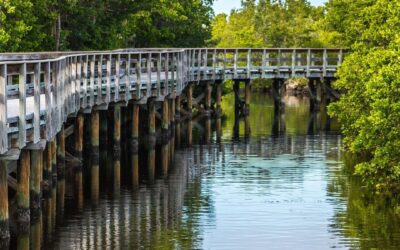 If you are looking to unwind from the hustle and bustle of city life, then the t…
