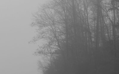 I woke up before the crack of dawn, eager to embark on my journey to capture the…