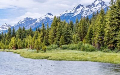 Flowing through our lives and sustaining our world, rivers are the lifelines of …