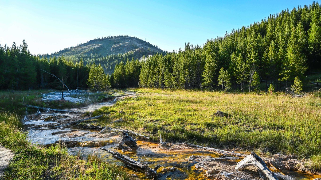 Best States for Hunting Ducks and Geese