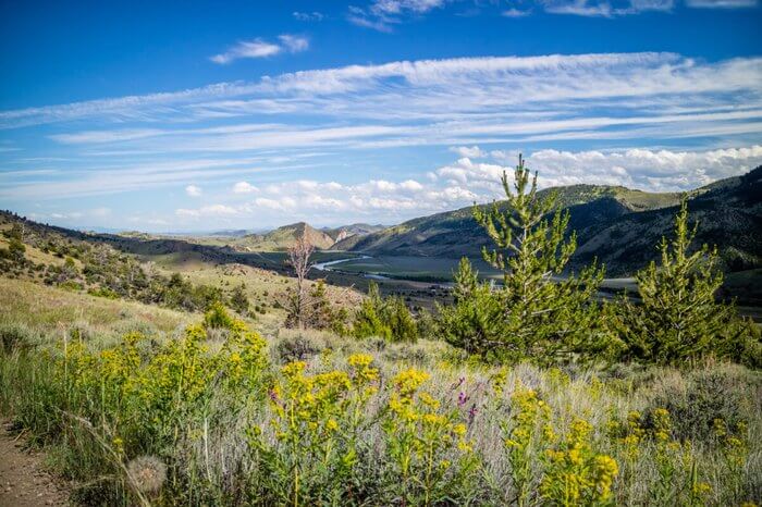This Montana Hiking Trail Is One Of The Best Places To View Summer Wildflowers