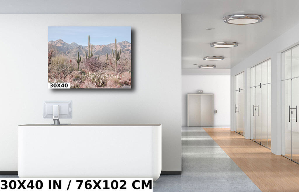 Desert Splendor: Saguaro Cactus Diagram Desert Splendor: Saguaro Cactus Diagram