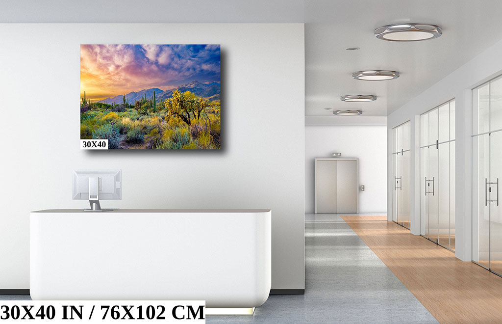 Desert Wonderland – Sabino Canyon Diagram