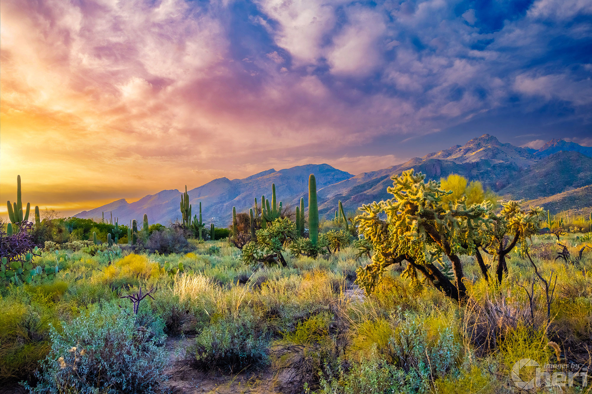 Desert Wonderland – Sabino Canyon