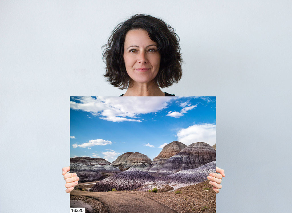 Nature’s Palette: Blue Mesa Desert Hills of Arizona Diagram Nature’s Palette: Blue Mesa Desert Hills of Arizona Diagram