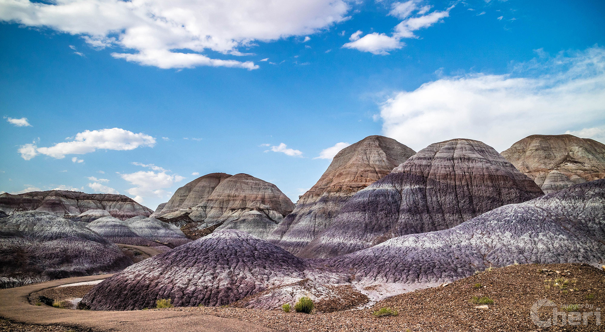 Nature’s Palette: Blue Mesa Desert Hills of Arizona Nature’s Palette: Blue Mesa Desert Hills of Arizona