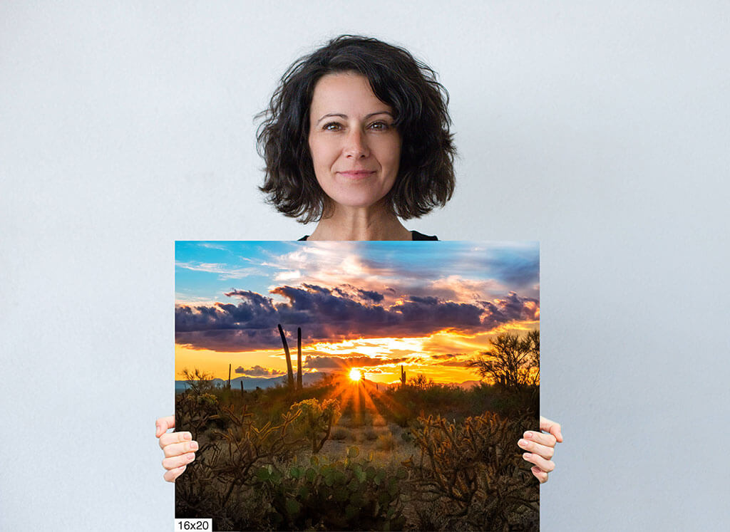 Sun-Kissed Beauty: Sonoran Desert Sunset Diagram Sun-Kissed Beauty: Sonoran Desert Sunset Diagram