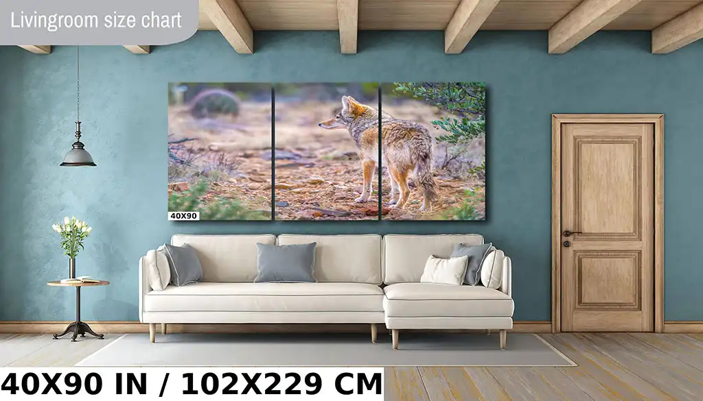 Elusive Desert Nomad: Coyote at the Sonoran Desert Diagram