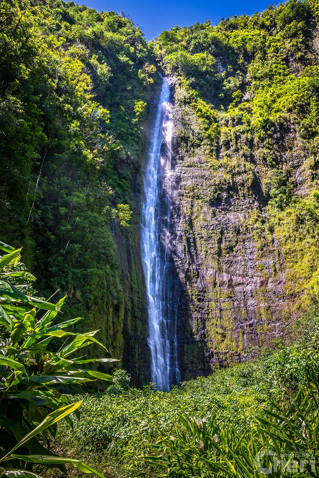 Eternal-Rush_watermark Eternal Rush Waimoku Falls