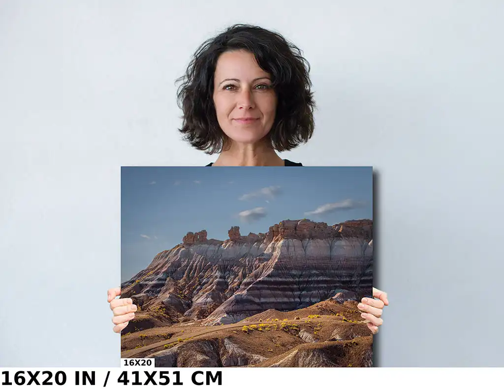 Majestic Desert Landscape: Petrified Forest Diagram