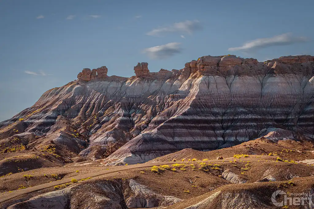 Majestic Desert Landscape: Petrified Forest