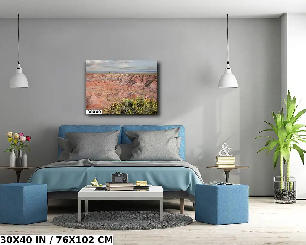 Nature’s Color Palette: Painted Desert Diagram