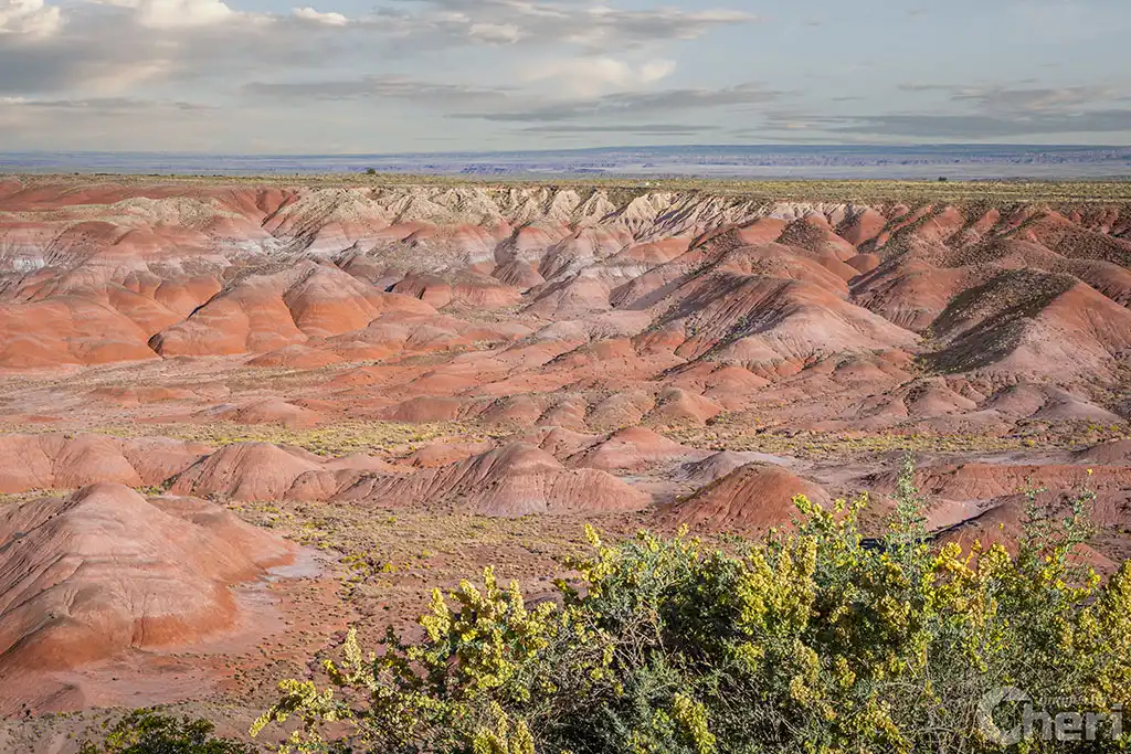 Nature’s Color Palette: Painted Desert