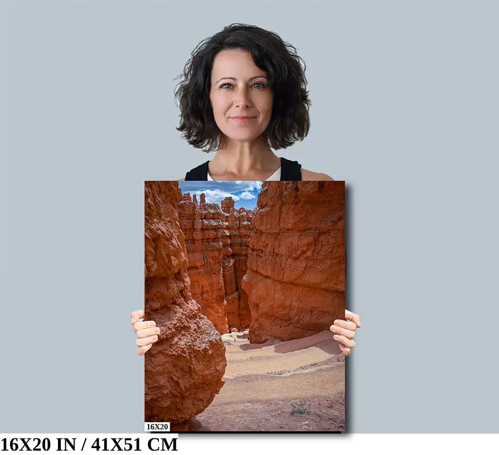 Red Rock Symphony: Wall Street, Bryce Canyon Diagram