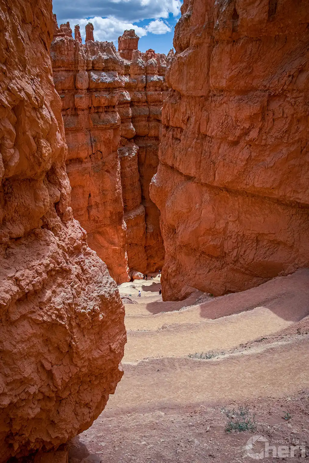 Red Rock Symphony: Wall Street, Bryce Canyon