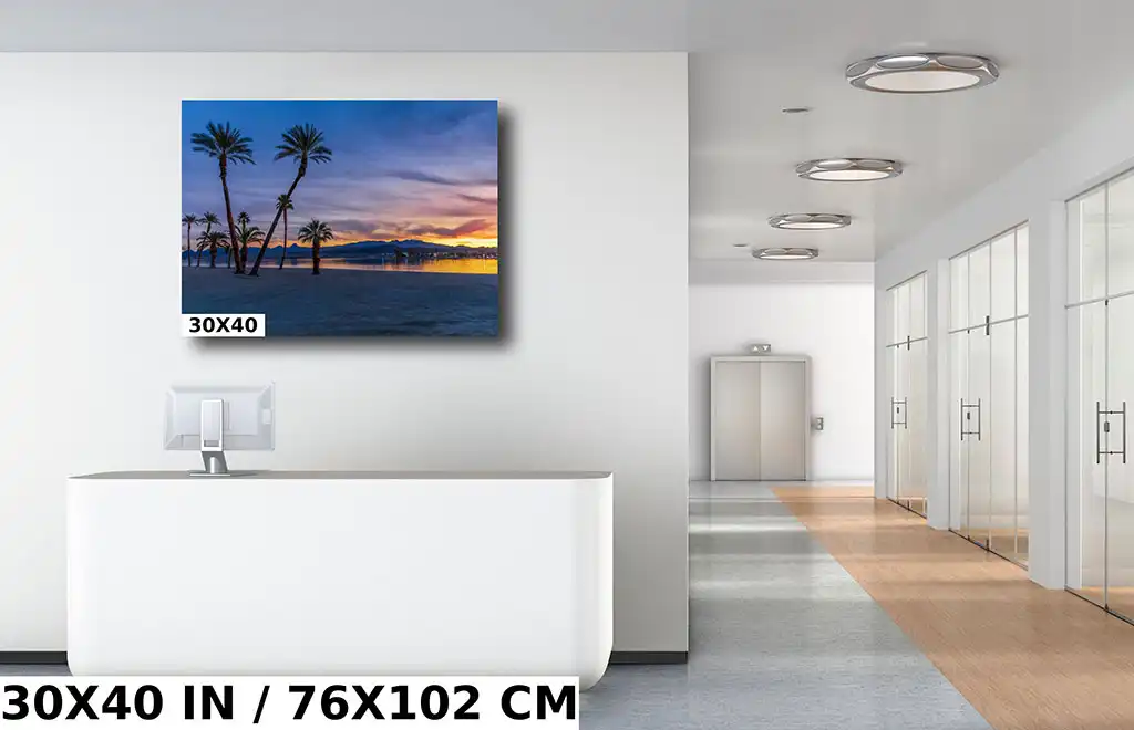 Serene Palm Scenery: Palm Trees at the Lake Havasu Rotary Park Diagram Serene Palm Scenery: Palm Trees at the Lake Havasu Rotary Park Diagram