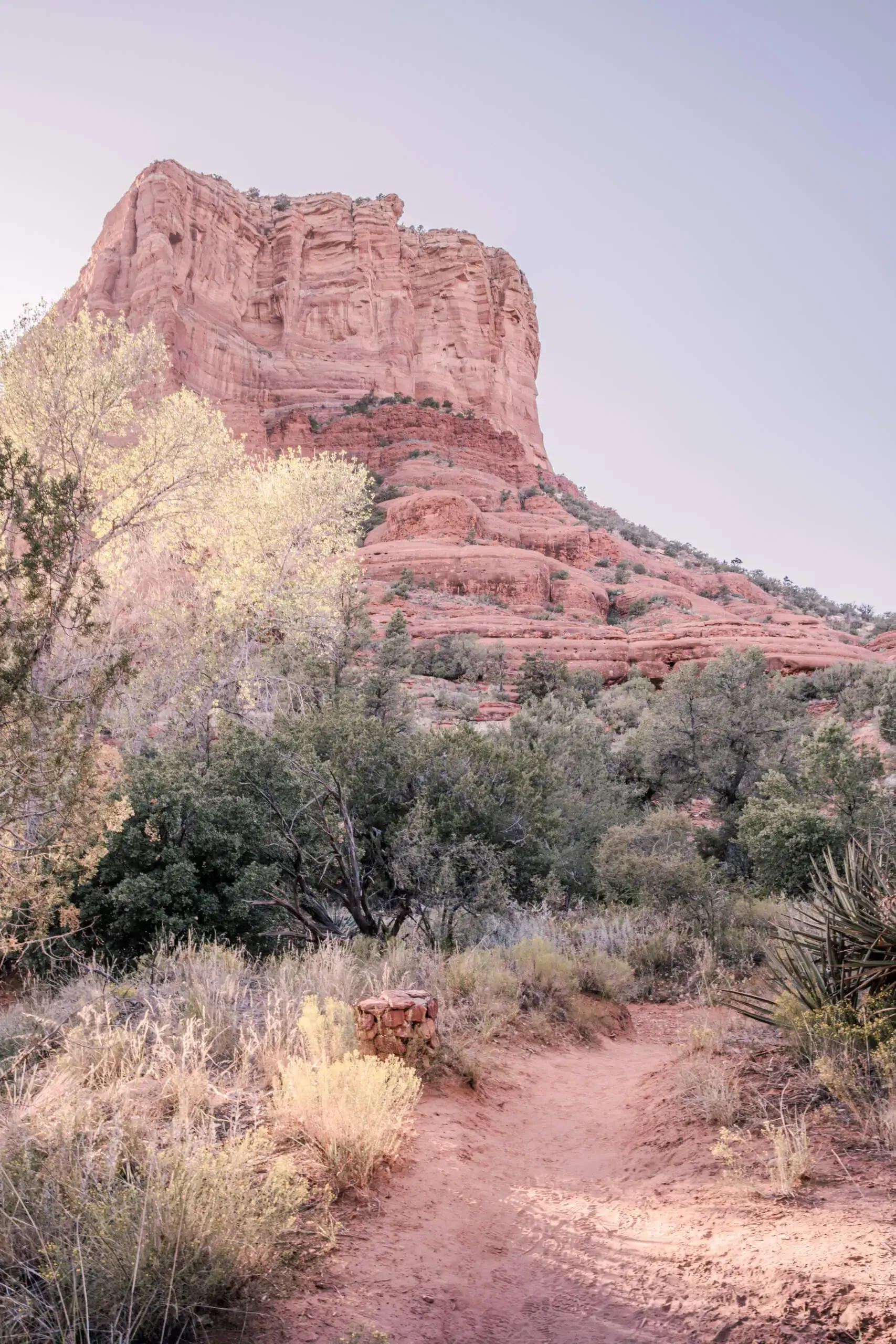 Majestic Vortex: Bell Rock Sedona