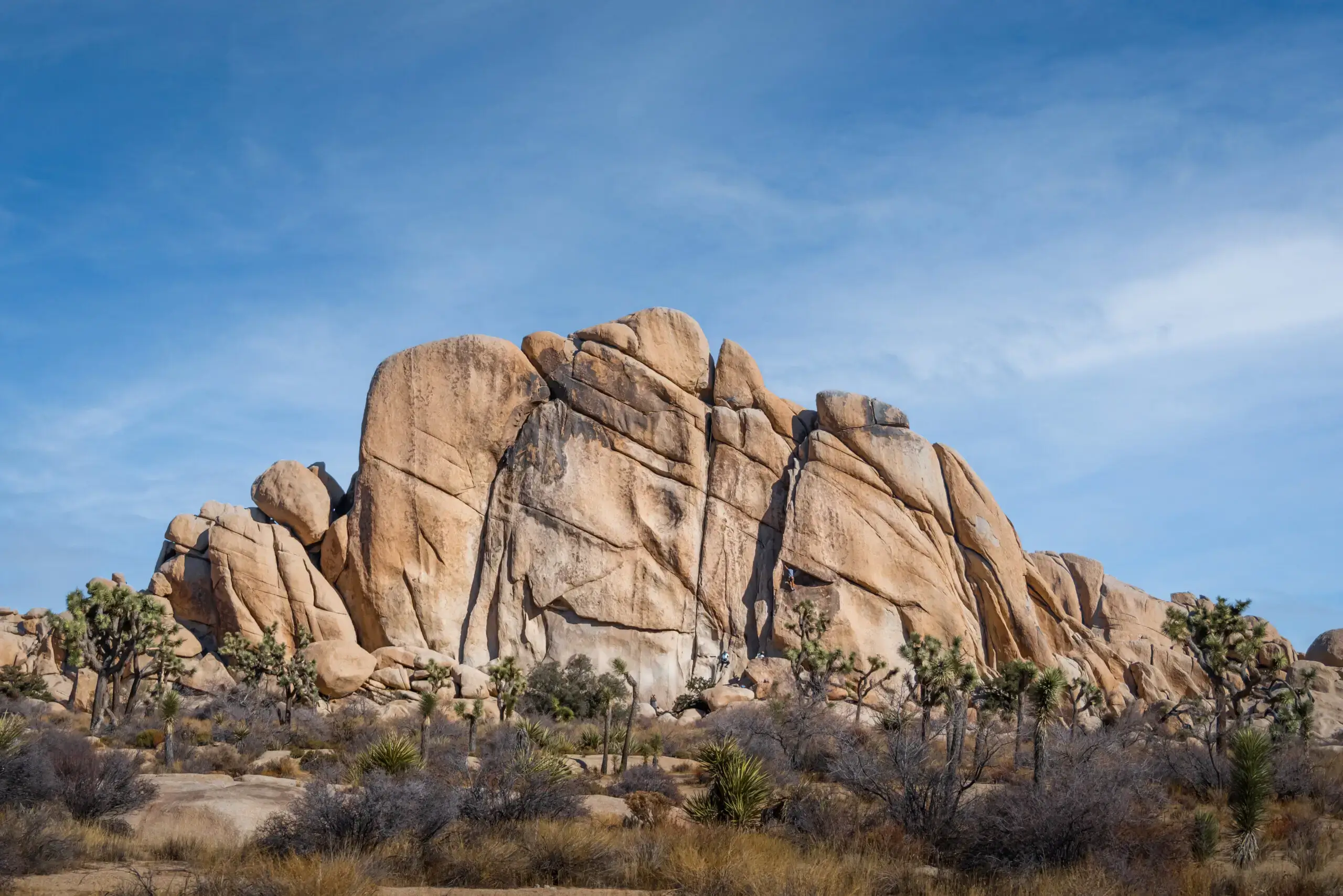 Earth’s Sculptors: Rock Formations of Joshua Tree National Park Earth’s Sculptors: Rock Formations of Joshua Tree National Park