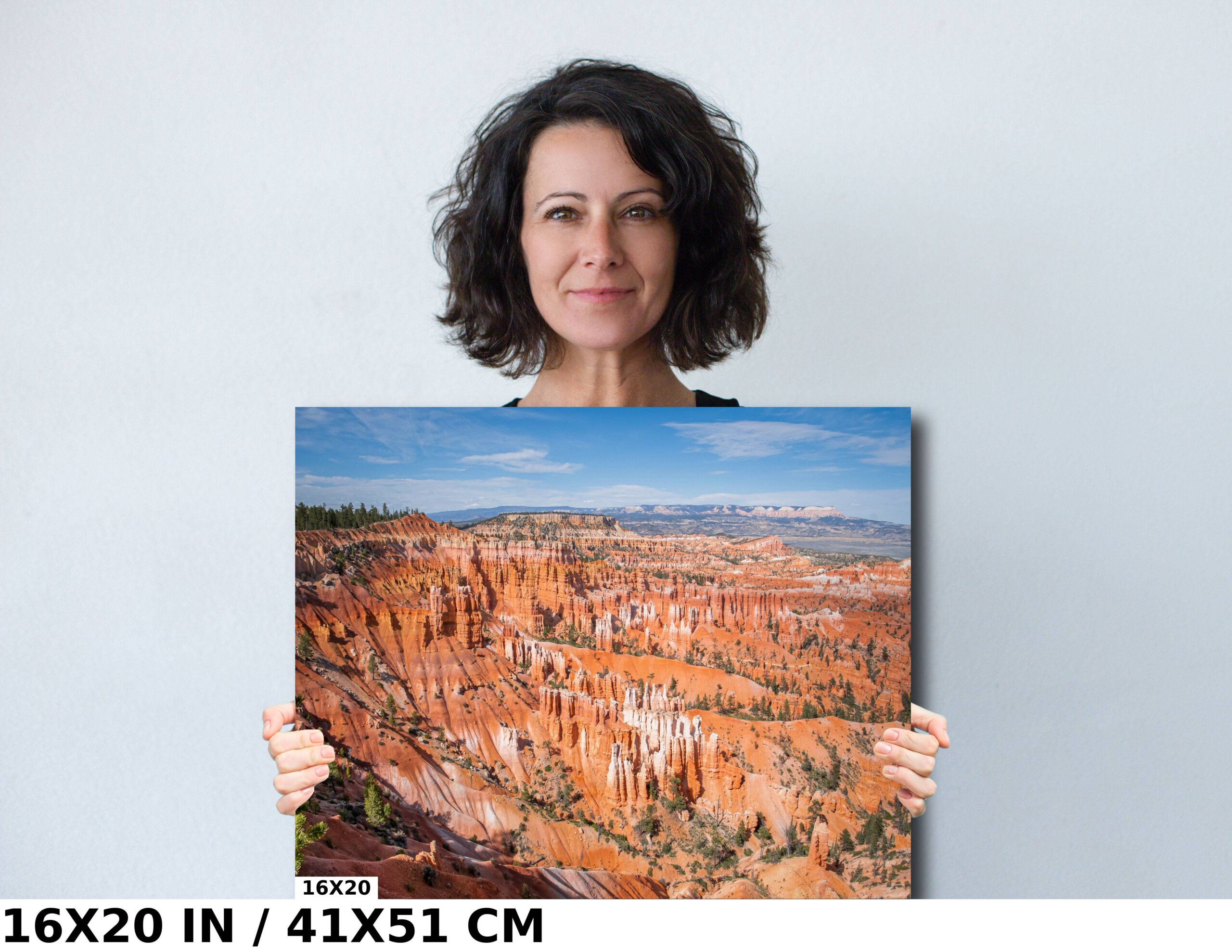 Canyon Kaleidoscope: Bryce Canyon National Park Diagram