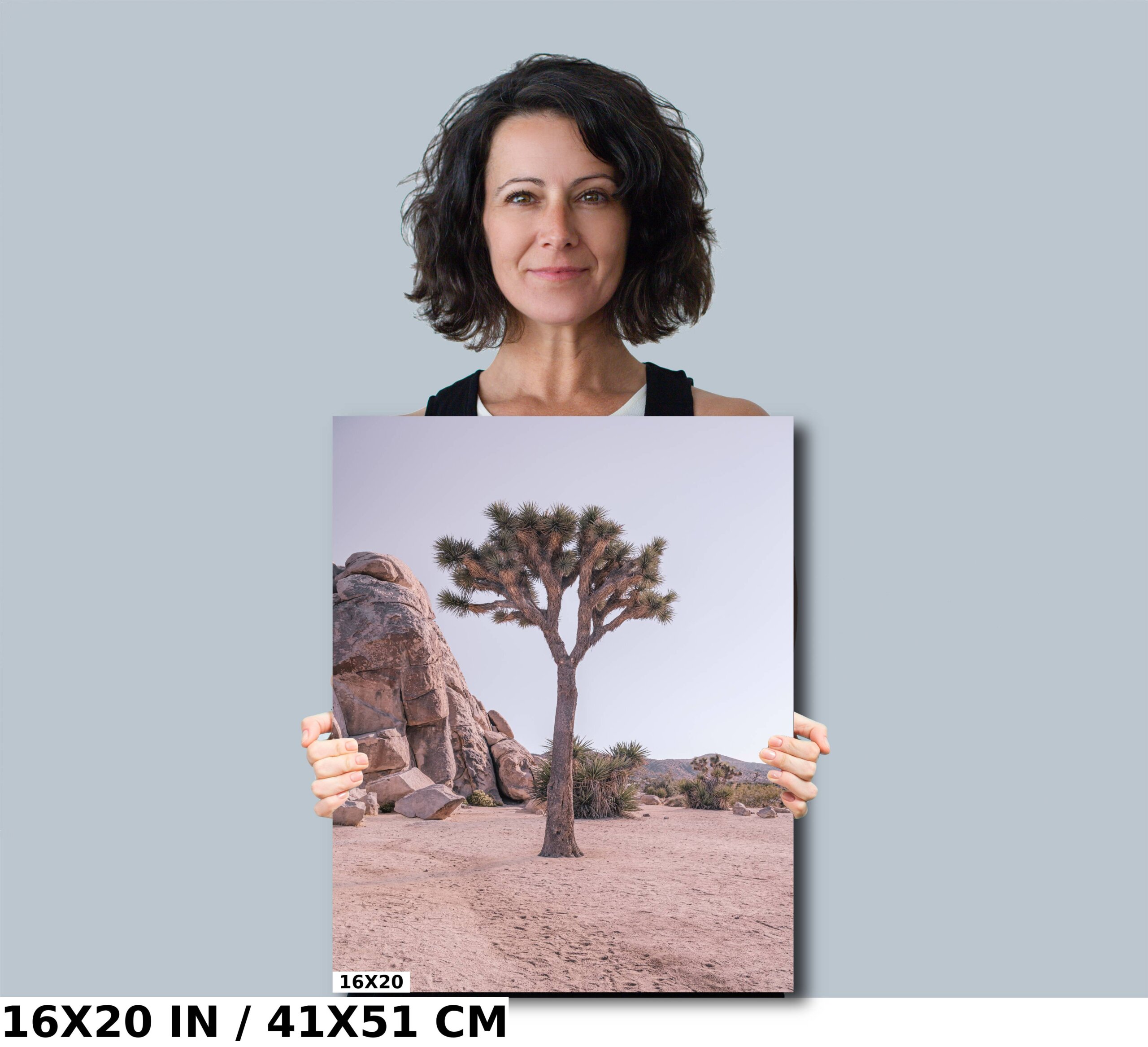 Desert Titans: Joshua Tree Rock Formation Diagram Desert Titans: Joshua Tree Rock Formation Diagram