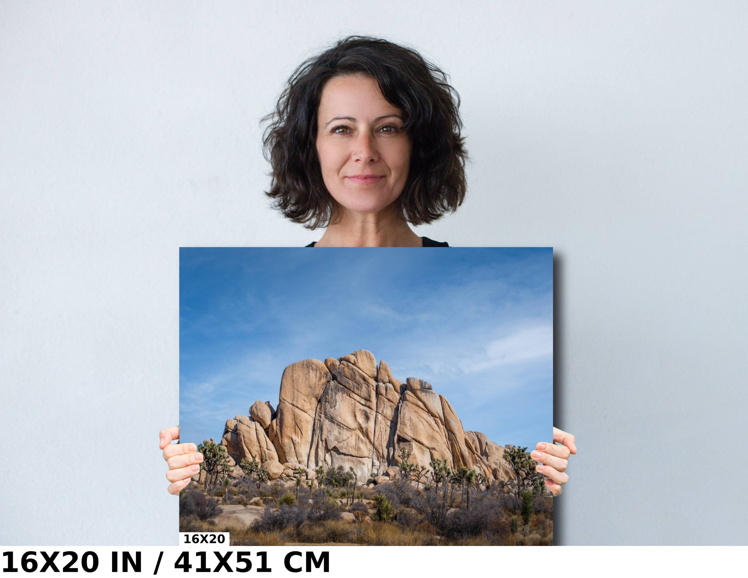 Earth’s Sculptors: Rock Formations of Joshua Tree National Park Diagram Earth’s Sculptors: Rock Formations of Joshua Tree National Park Diagram