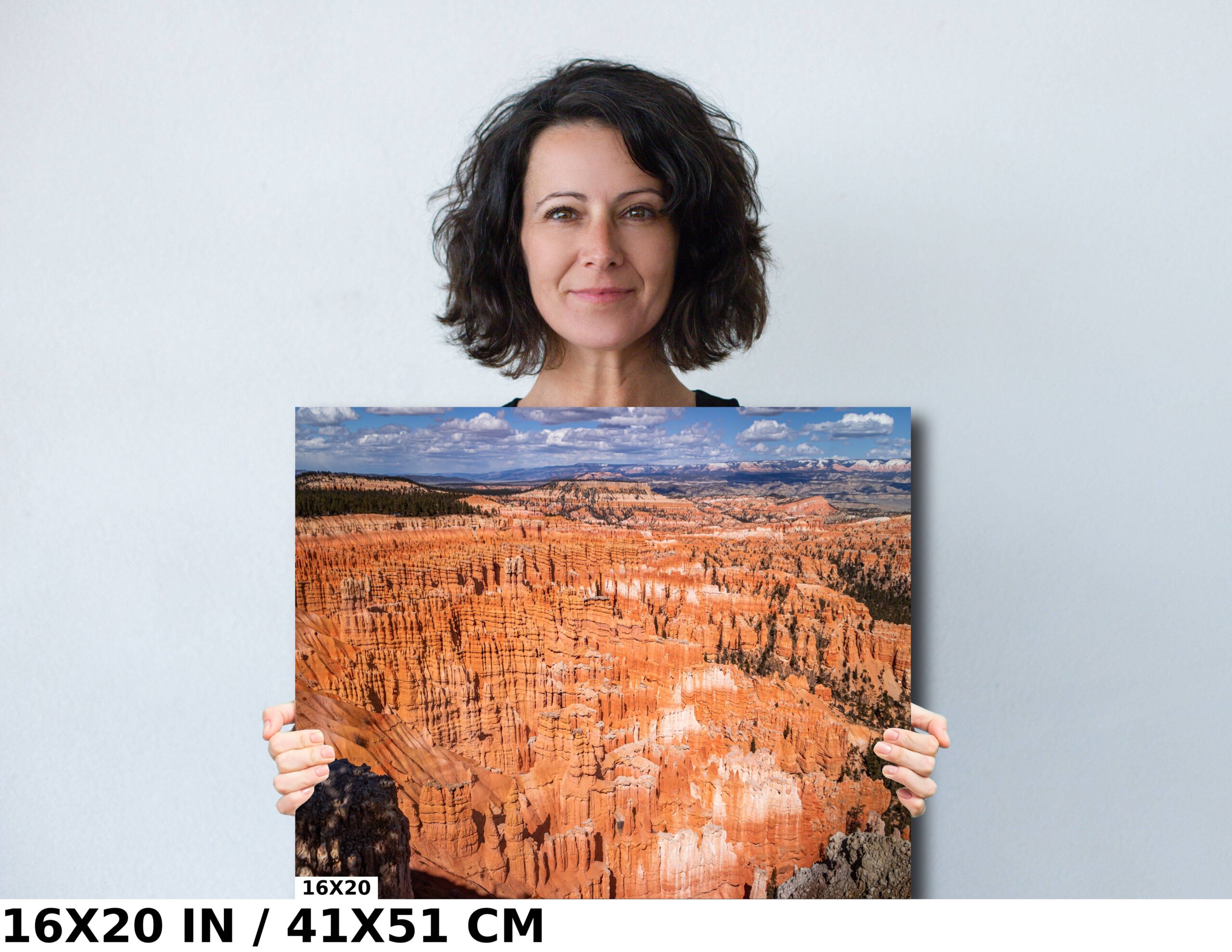 Hues and Hoodoos: Bryce Canyon Amphitheater Diagram