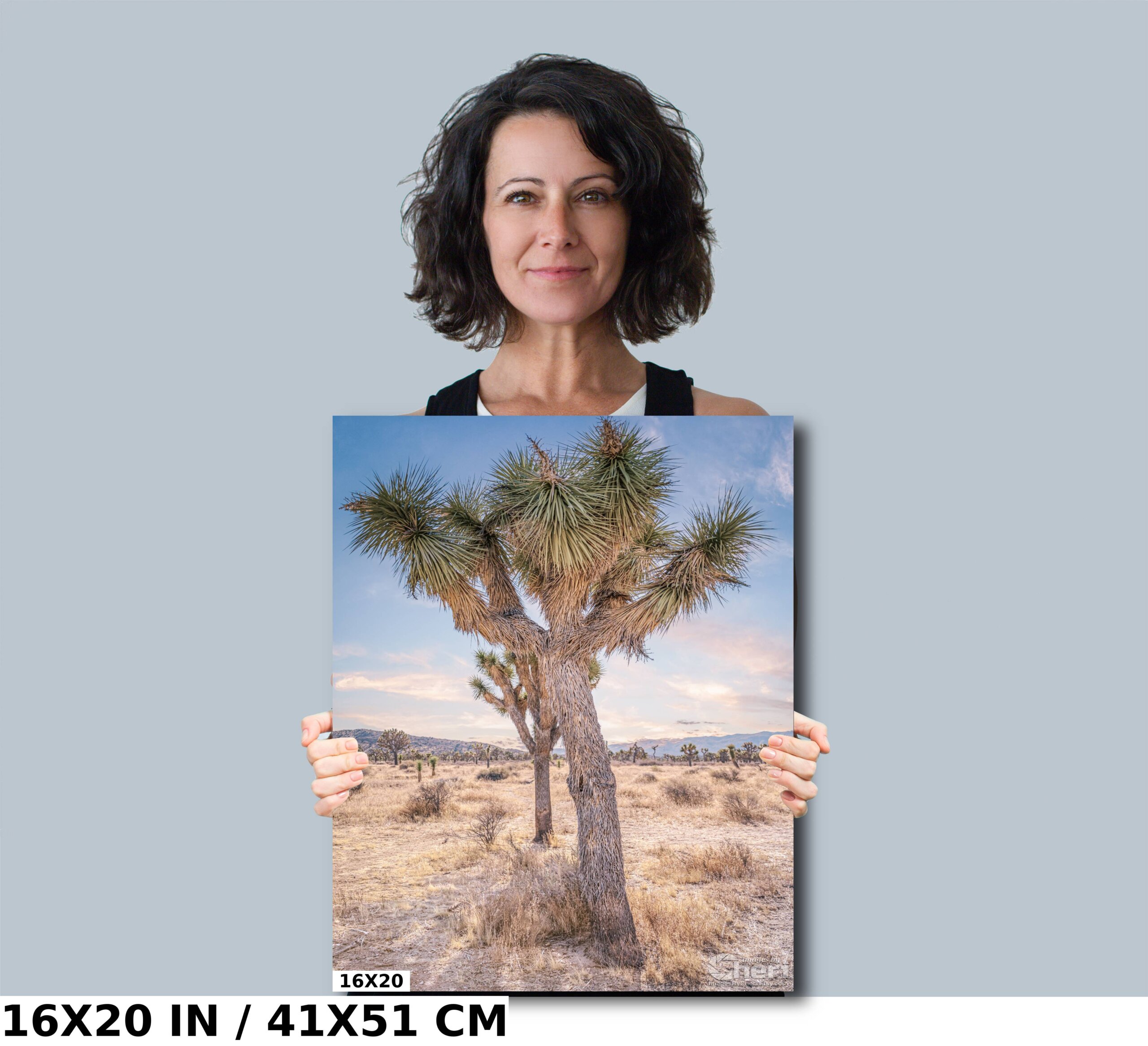 In the Shadow of Giants: Capturing Joshua Tree Diagram