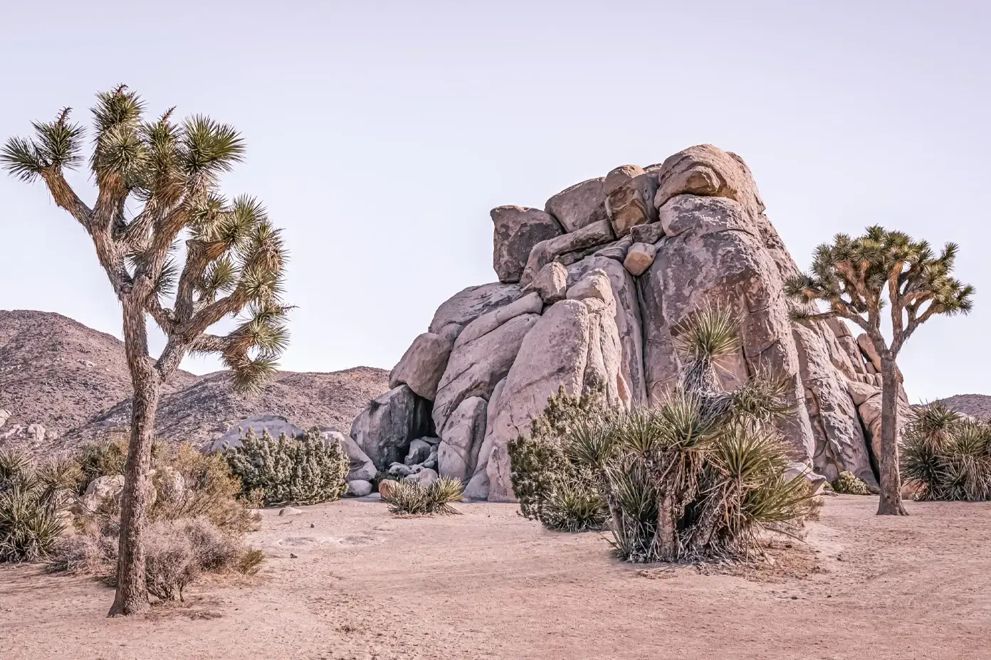 Nature’s Surreal Sculptures: Joshua Tree National Park