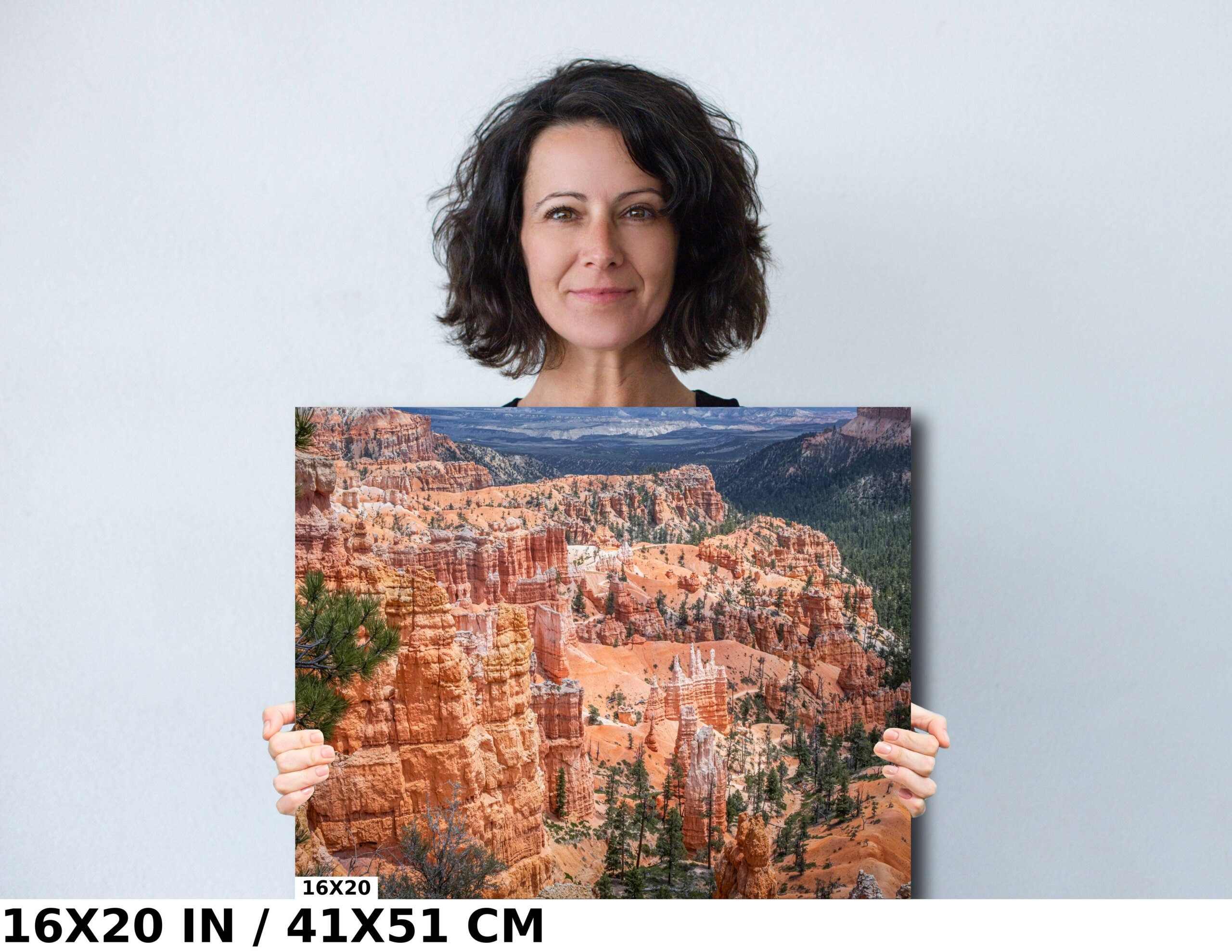 Layers of Light: Bryce Canyon National Park Diagram