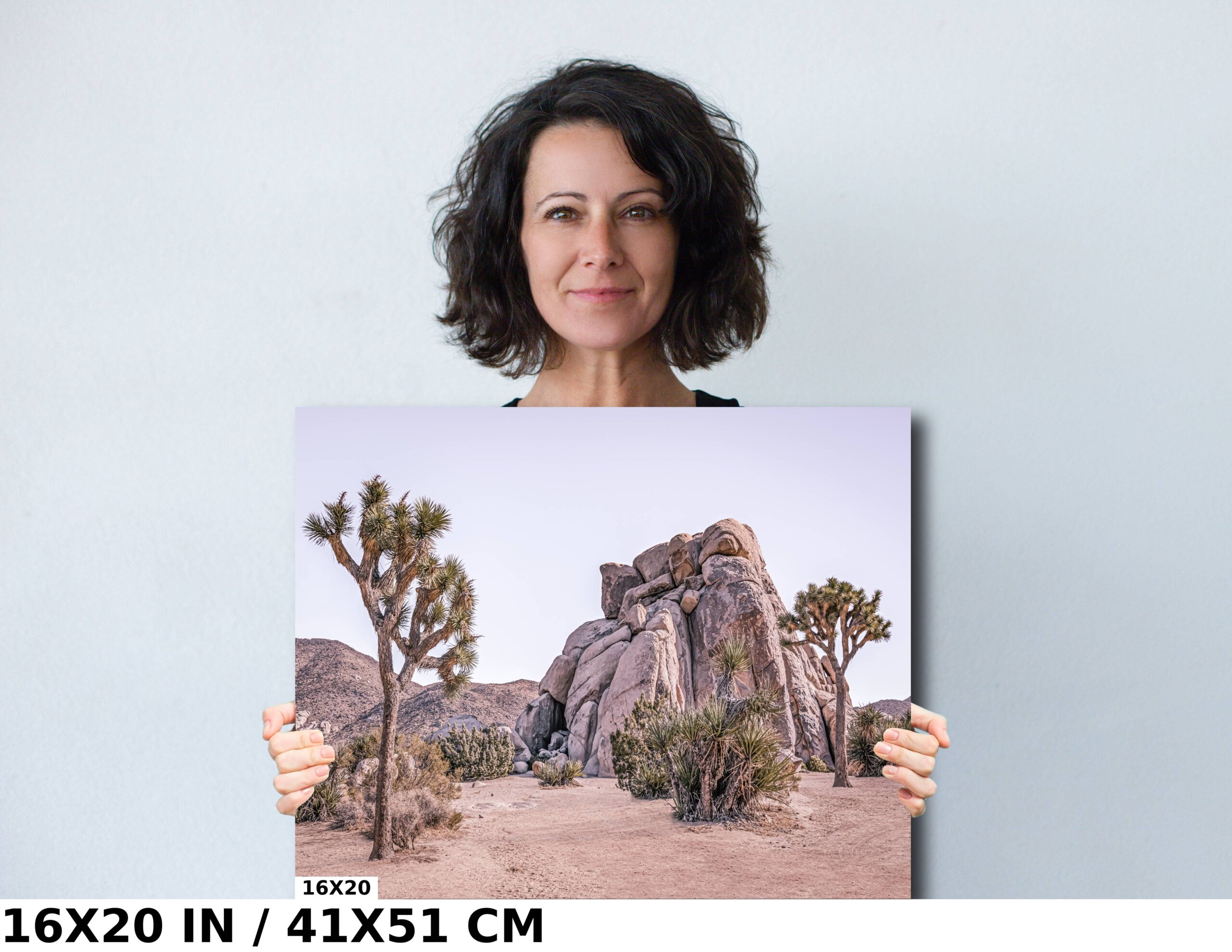 Nature’s Surreal Sculptures: Joshua Tree National Park Diagram