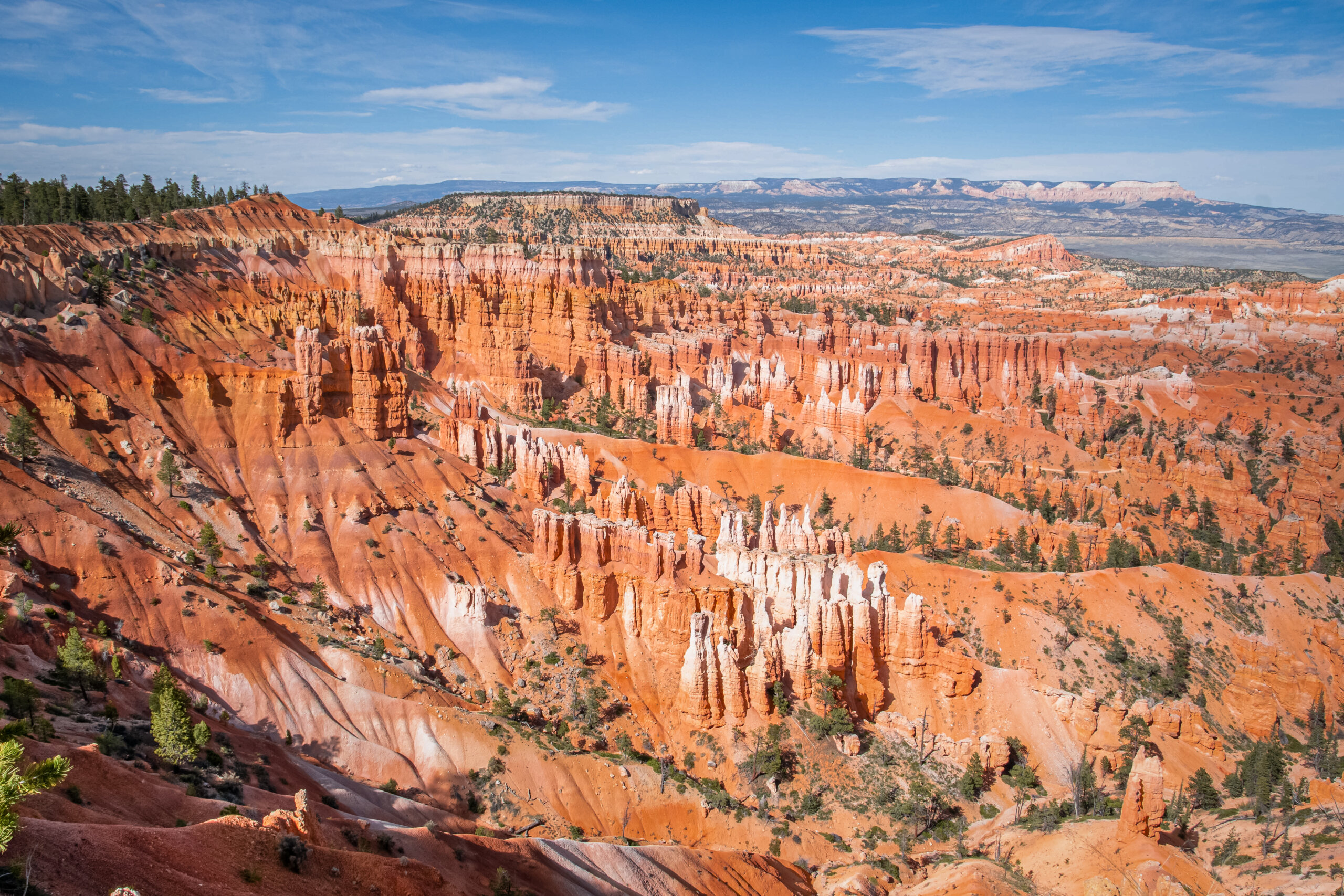 Canyon Kaleidoscope: Bryce Canyon National Park