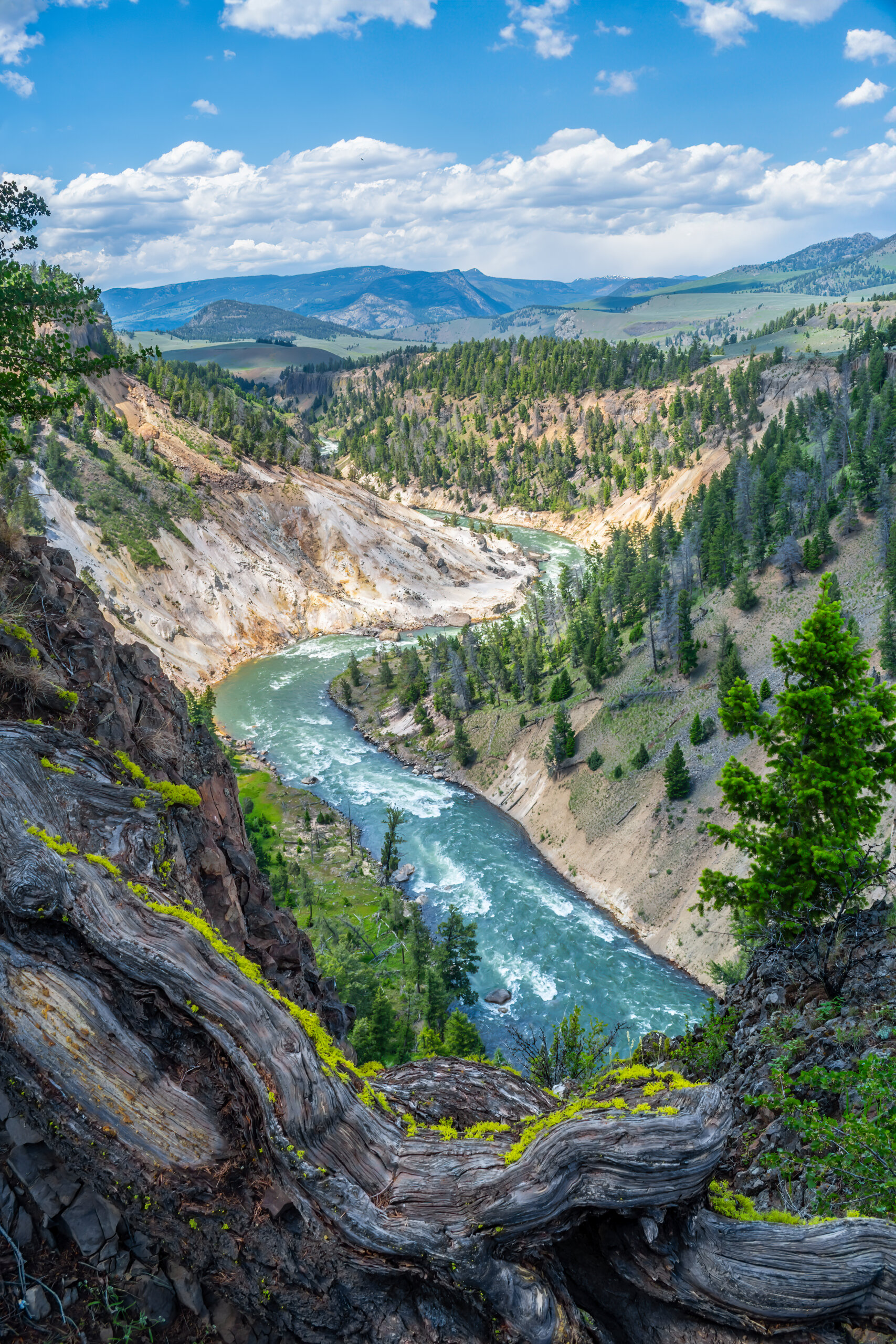 Sculpted by Time: Artist Point Sculpted by Time: Artist Point